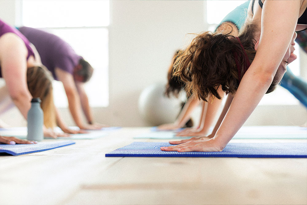 Group of people doing yoga in a studio.